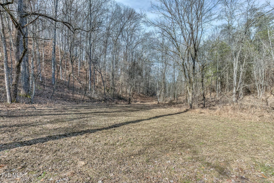 Photo #37: 195 Fork Branch Road