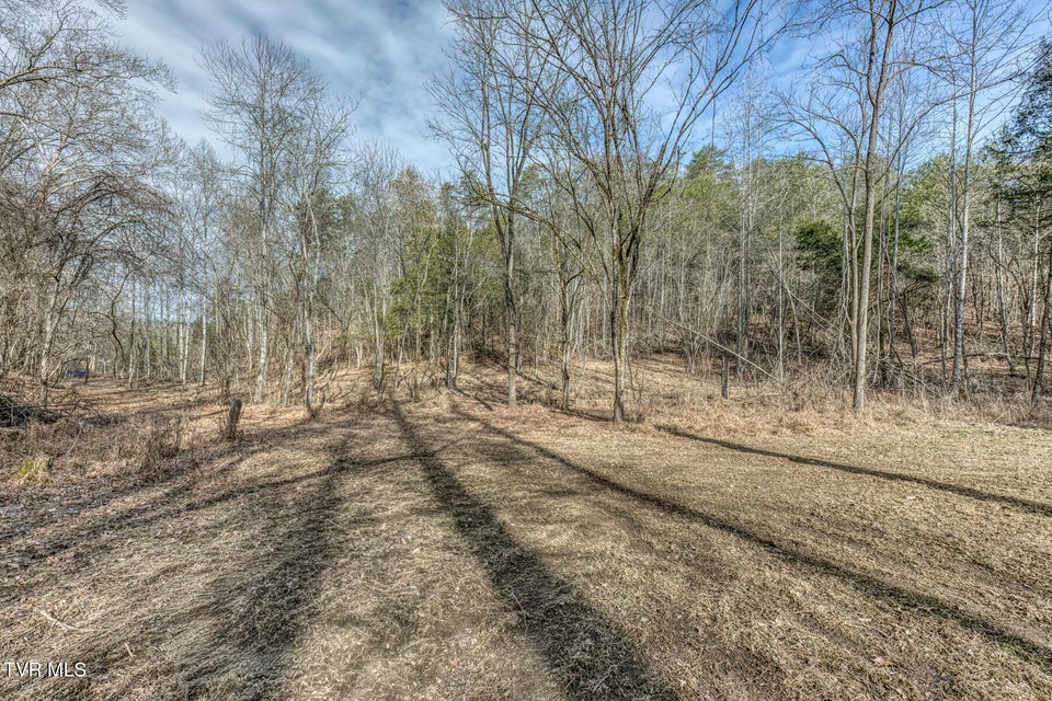Photo #38: 195 Fork Branch Road