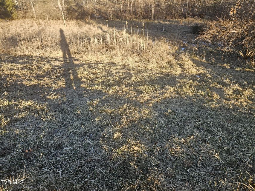 Photo #9: 2556 Dungannon Road