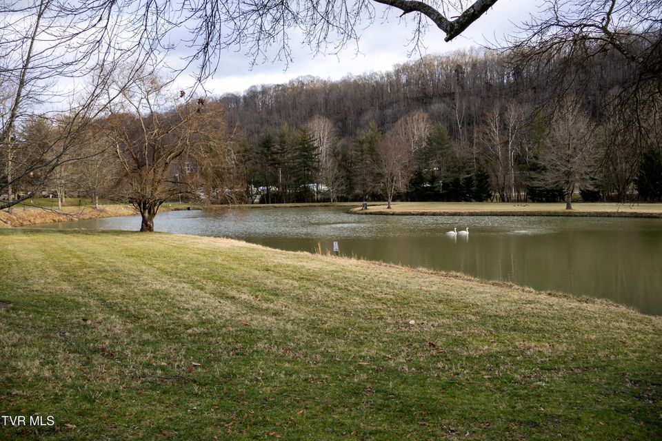 Photo #40: 98 Periwinkle Place