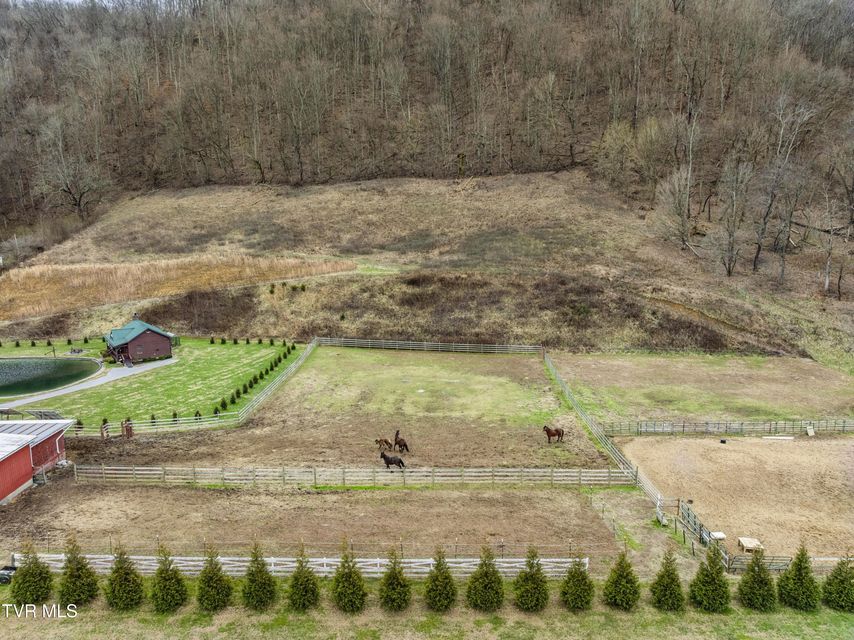 Photo #44: 124 Bill Crawford Road