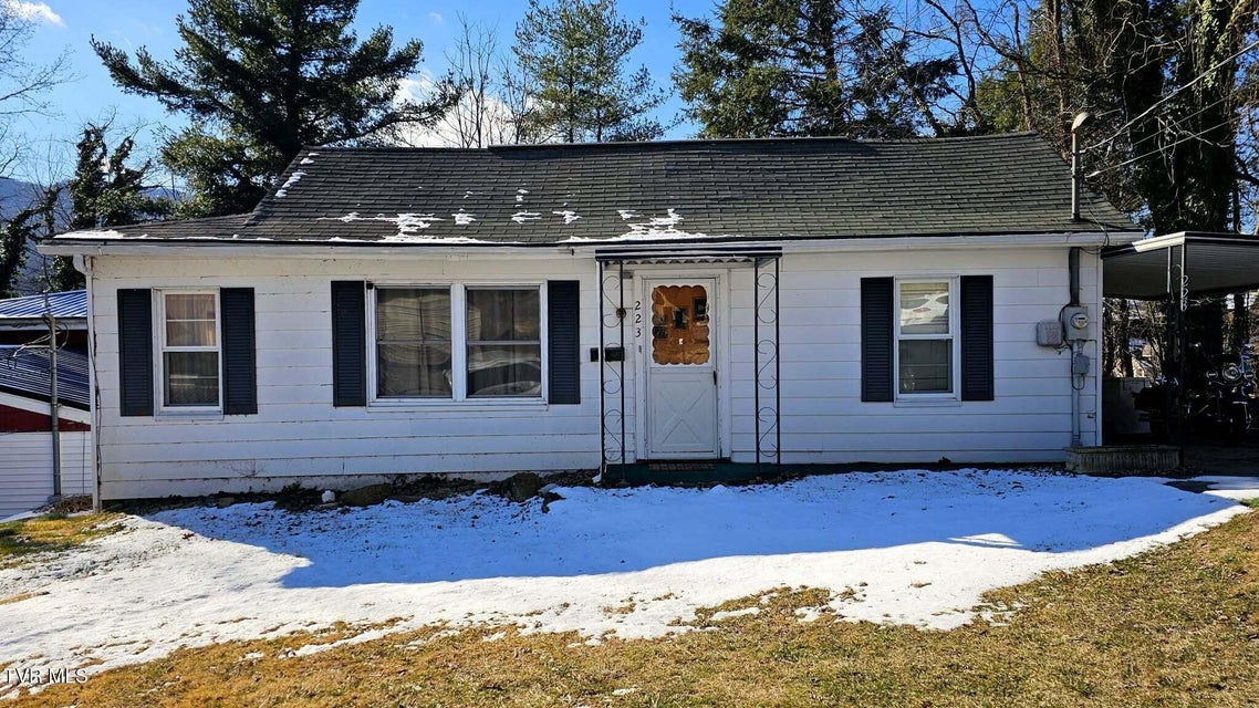 Photo #3: 223 Craig Street