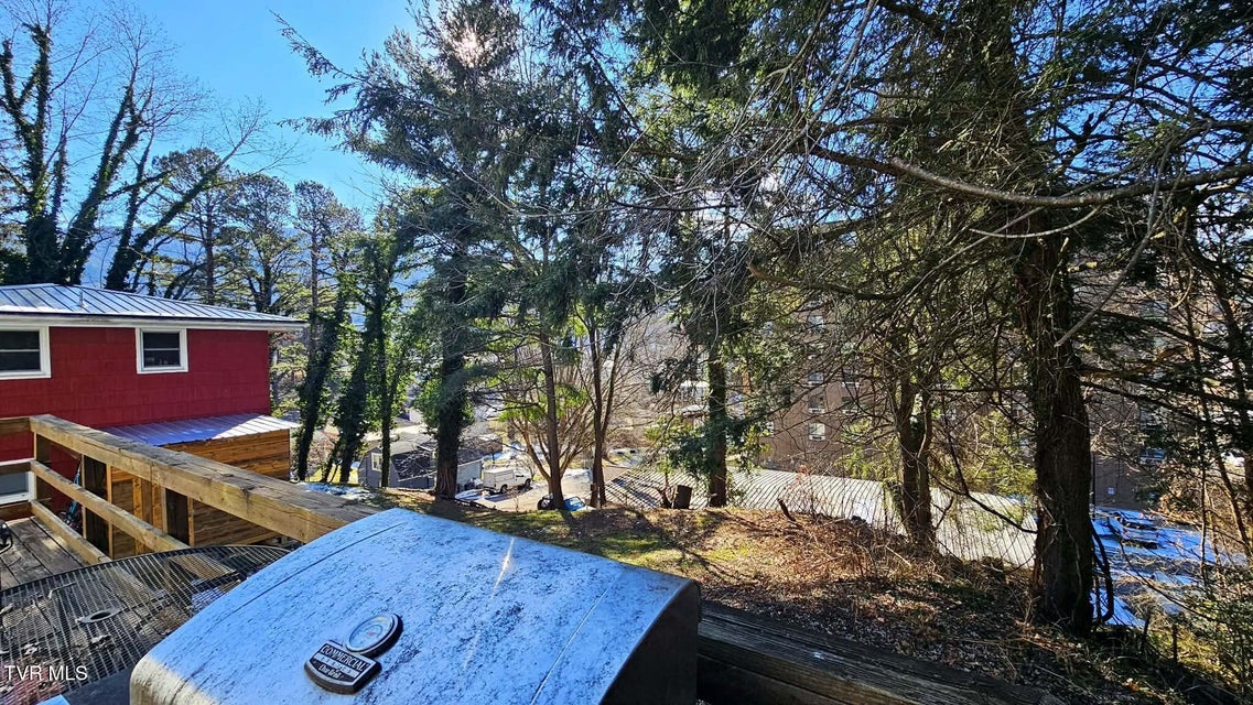 Photo #4: 223 Craig Street