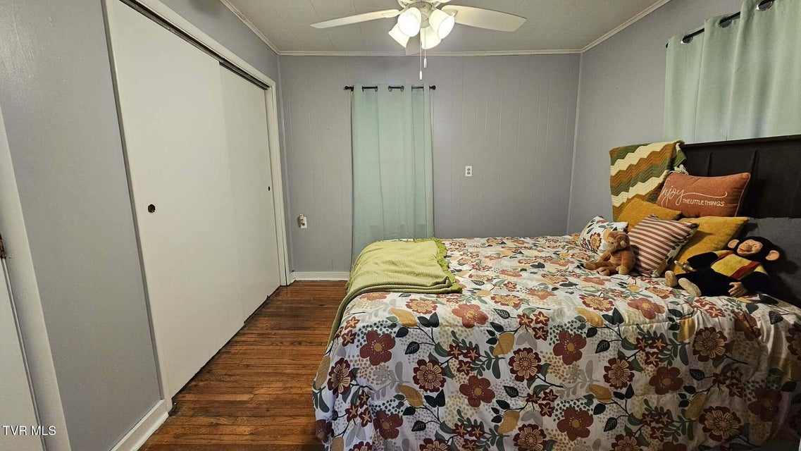 Photo #13: 223 Craig Street