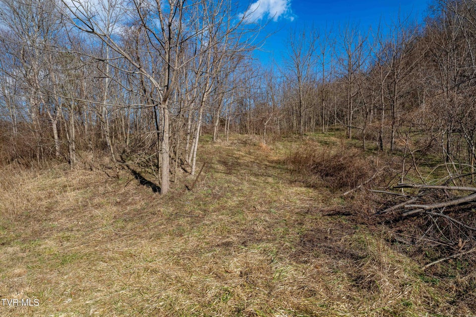 Photo #28: Tbd Dry Hill Road