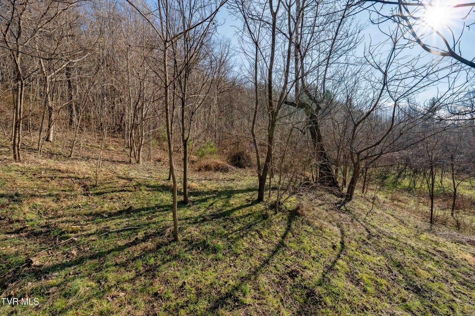 Photo #29: Tbd Dry Hill Road