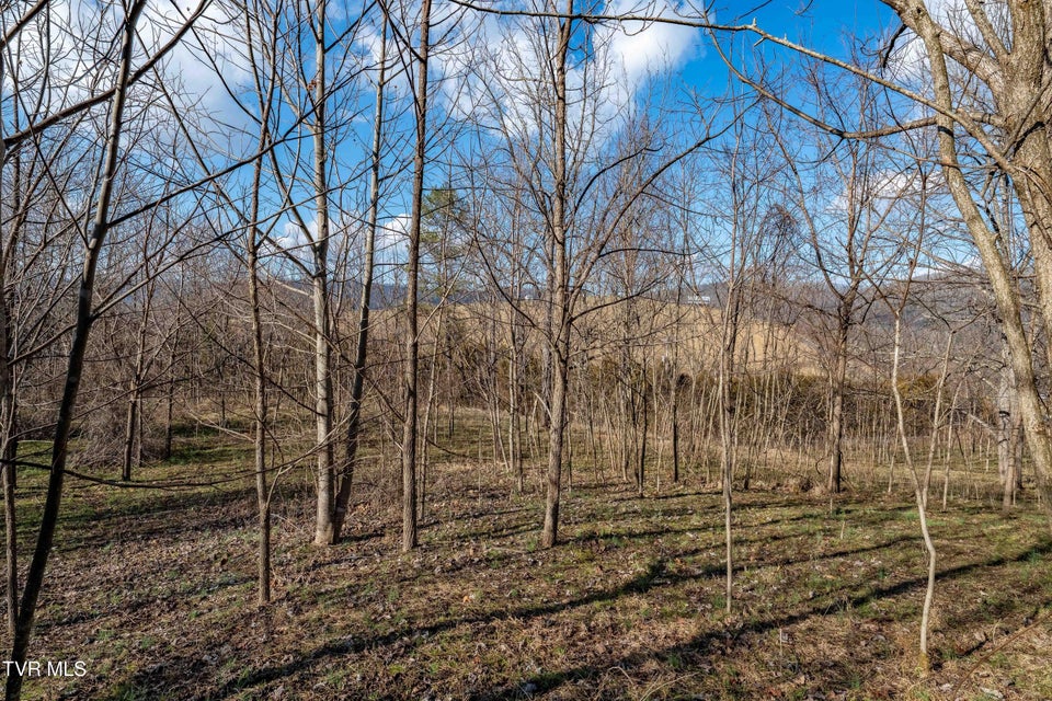 Photo #31: Tbd Dry Hill Road