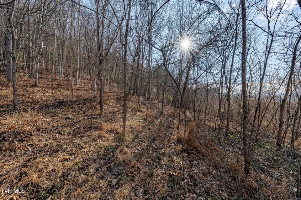 Photo #33: Tbd Dry Hill Road