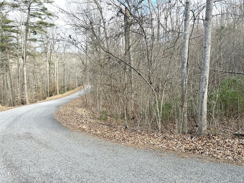 Photo #2: Lot'S 6&7 Skyline Drive 