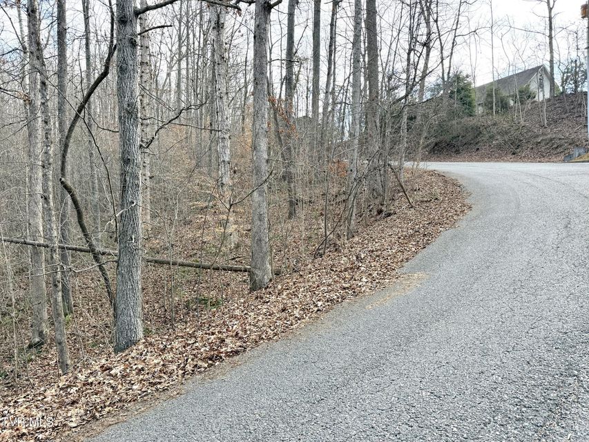 Photo #3: Lot'S 6&7 Skyline Drive 