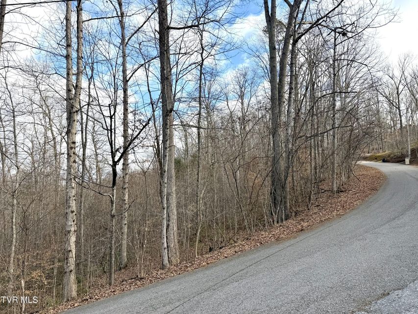 Photo #4: Lot'S 6&7 Skyline Drive 