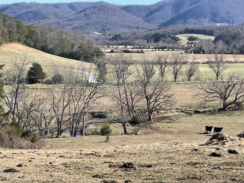 Photo #51: 8893 Asheville Highway