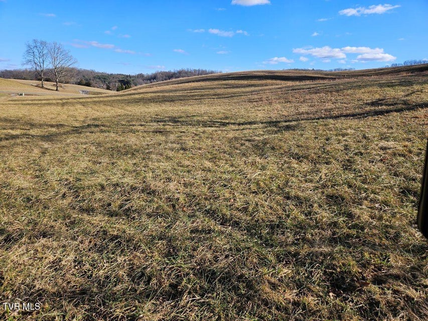 Photo #12: Lot 119 Yeary Trail