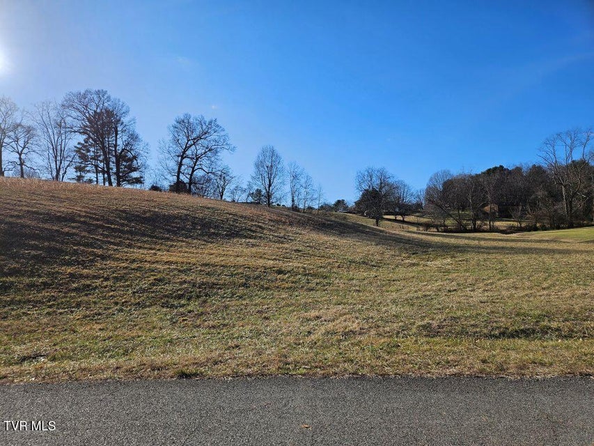 Photo #4: Lot 119 Yeary Trail