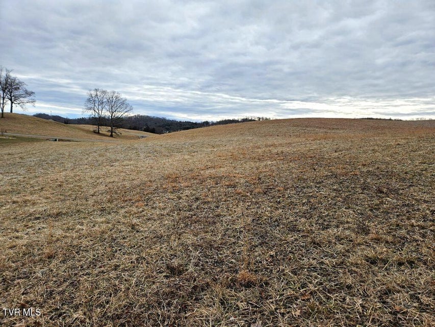 Photo #5: Lot 119 Yeary Trail