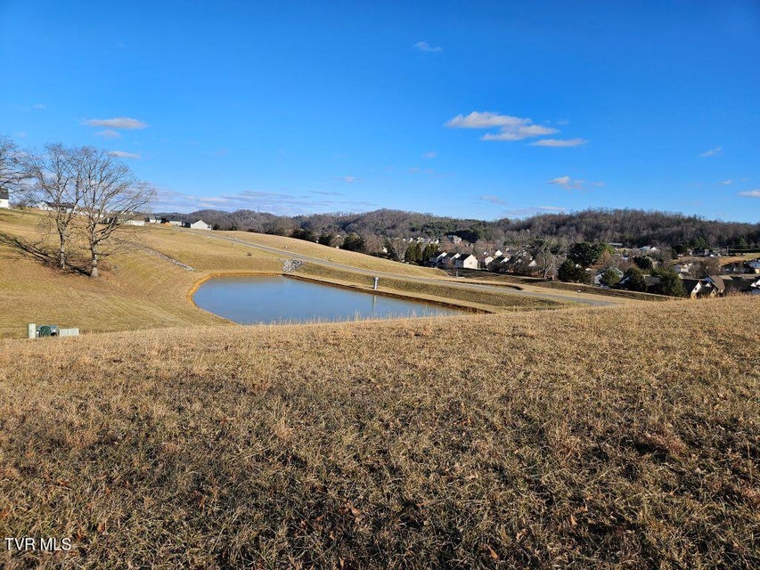 Photo #6: Lot 119 Yeary Trail