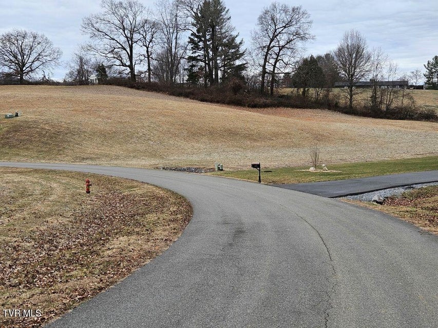 Photo #7: Lot 119 Yeary Trail