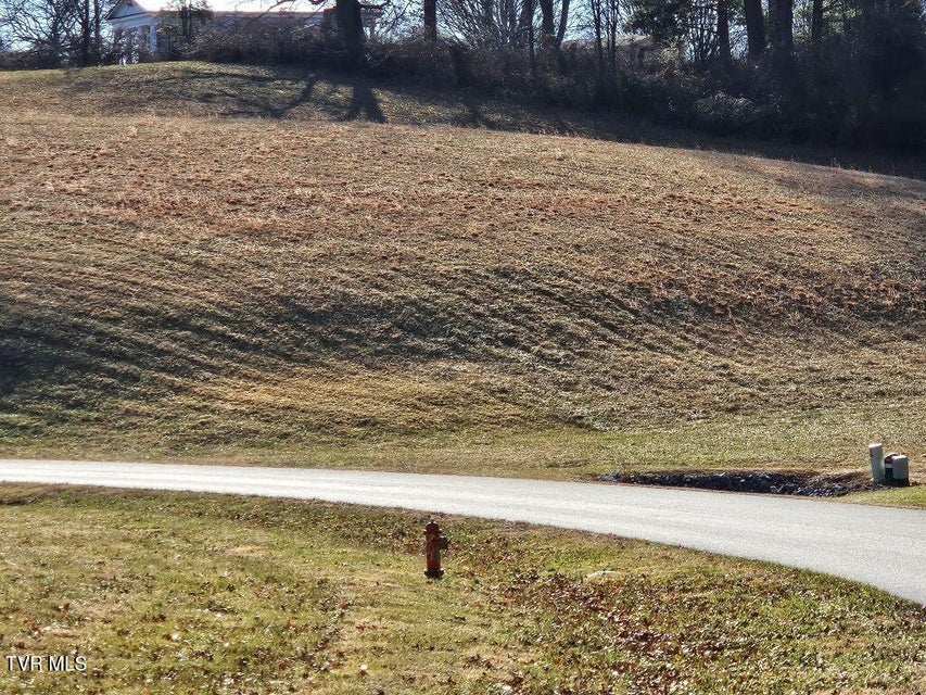 Photo #9: Lot 119 Yeary Trail