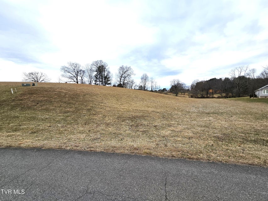 Photo #10: Lot 119 Yeary Trail