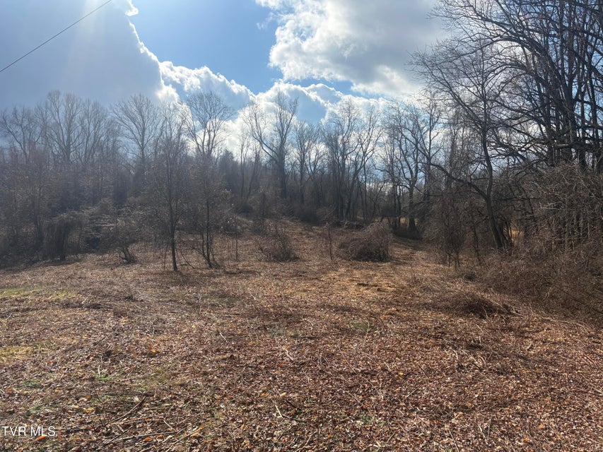 Photo #10: 1030 Paperville Road