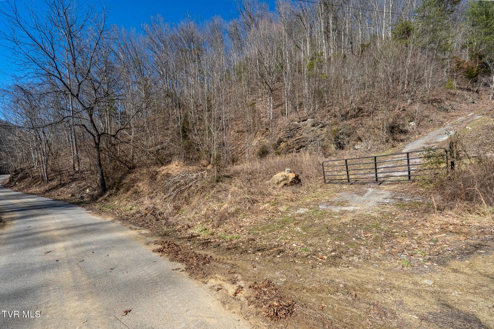 Photo #14: Tbd Old Carden Hollow Road