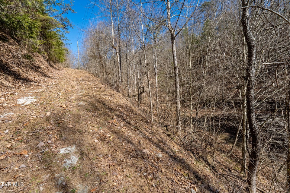 Photo #18: Tbd Old Carden Hollow Road