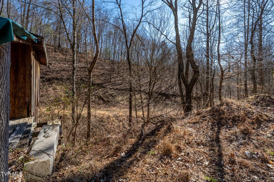 Photo #25: Tbd Old Carden Hollow Road