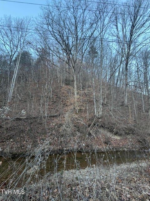 Photo #2: Tbd Highway 25E 