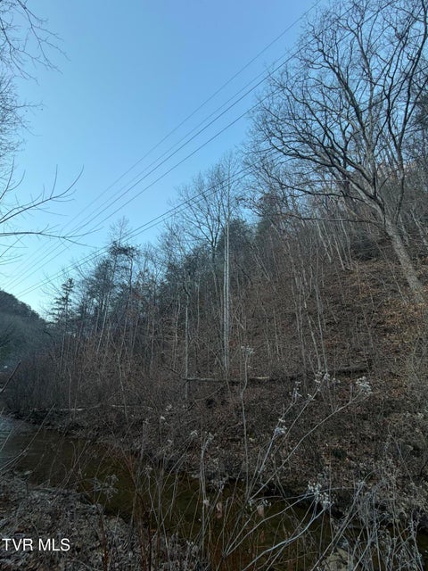 Photo #4: Tbd Highway 25E 