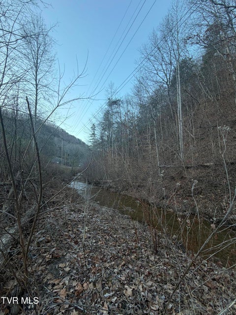 Photo #5: Tbd Highway 25E 