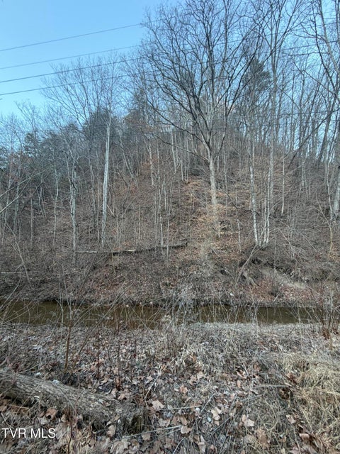 Photo #6: Tbd Highway 25E 