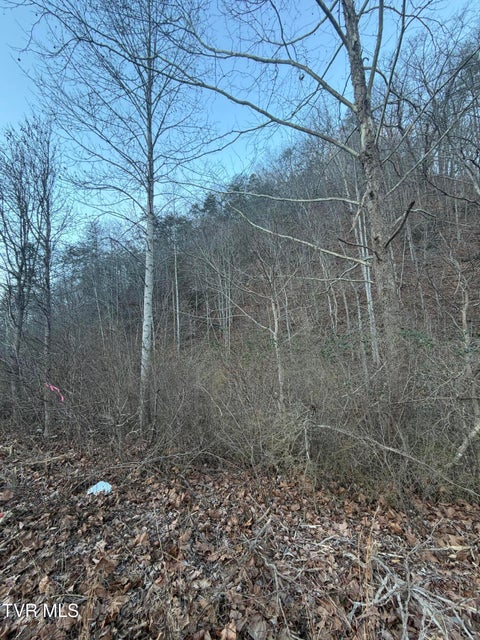 Photo #8: Tbd Highway 25E 