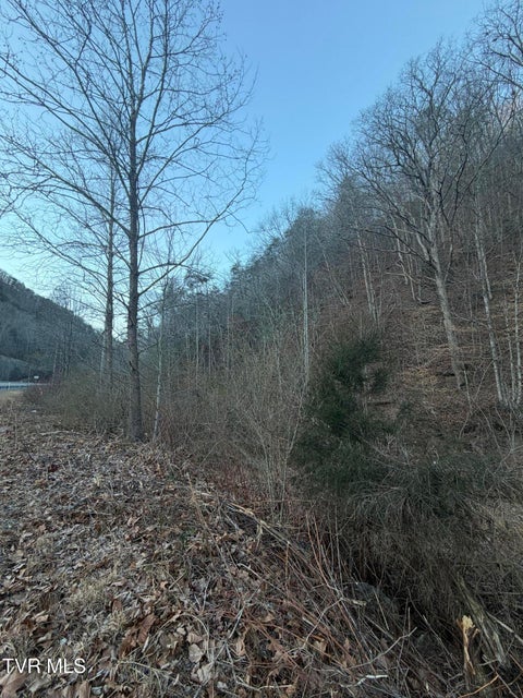 Photo #9: Tbd Highway 25E 