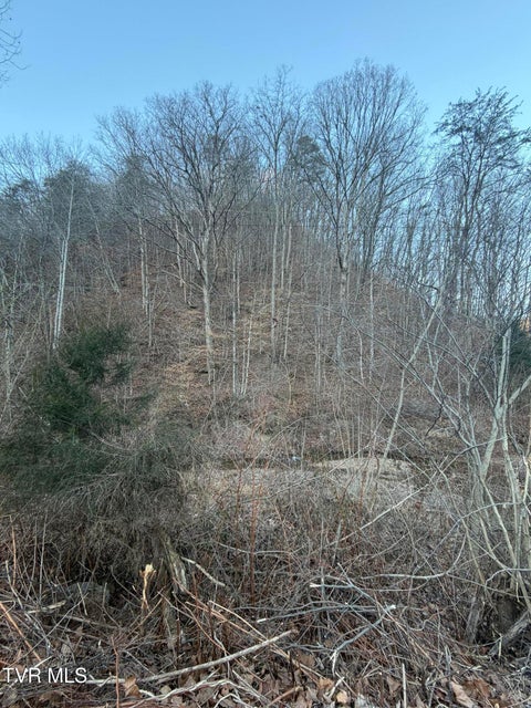 Photo #10: Tbd Highway 25E 