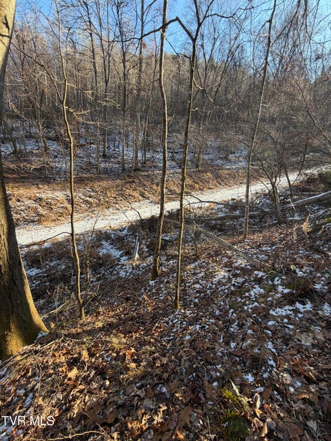 Photo #3: Tbd W Of Williams Lane