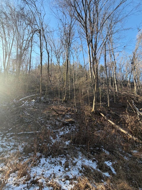 Photo #2: Tbd W Of Williams Lane