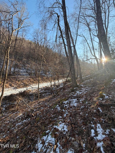 Photo #4: Tbd W Of Williams Lane