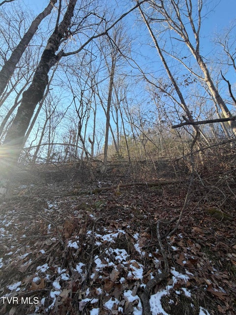 Photo #5: Tbd W Of Williams Lane