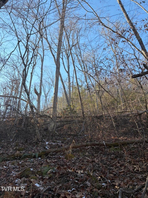 Photo #6: Tbd W Of Williams Lane