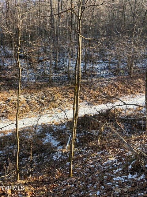 Photo #7: Tbd W Of Williams Lane