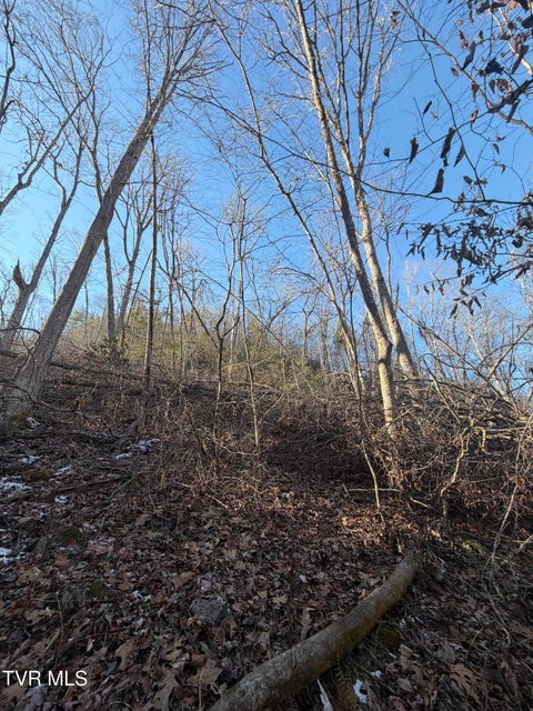 Photo #8: Tbd W Of Williams Lane