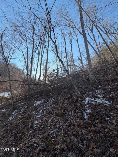 Photo #9: Tbd W Of Williams Lane