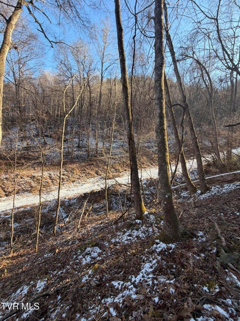 Photo #10: Tbd W Of Williams Lane