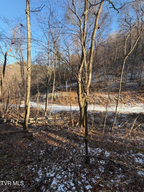 Photo #11: Tbd W Of Williams Lane