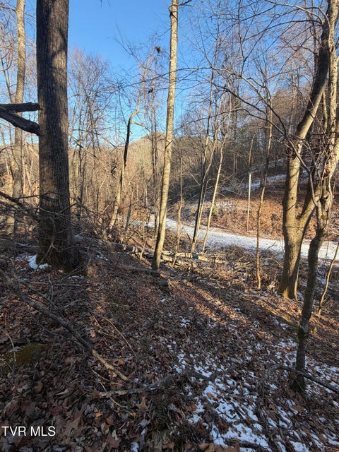 Photo #12: Tbd W Of Williams Lane