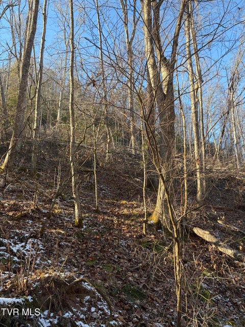 Photo #13: Tbd W Of Williams Lane