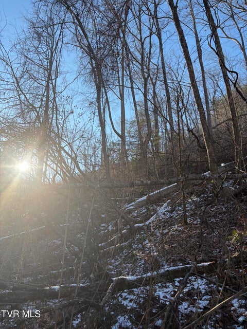 Photo #14: Tbd W Of Williams Lane