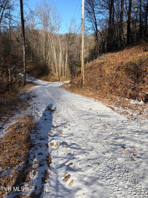 Photo #15: Tbd W Of Williams Lane