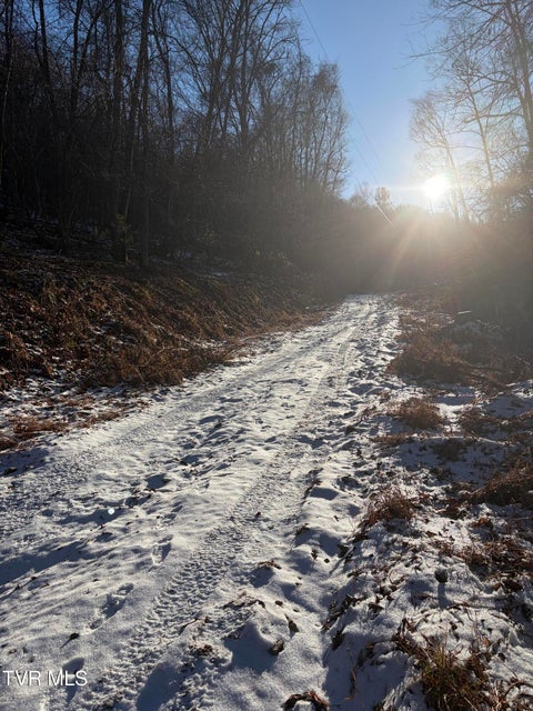 Photo #16: Tbd W Of Williams Lane