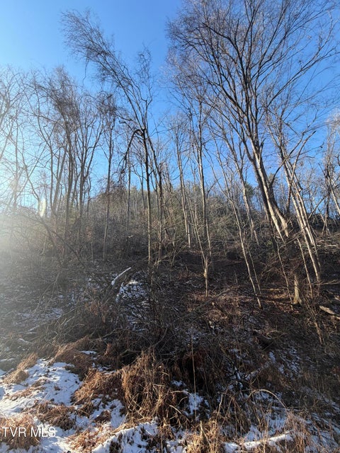 Photo #17: Tbd W Of Williams Lane